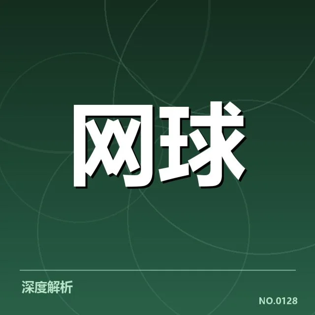 年终总决赛排名争夺：选手战绩波动原因何在